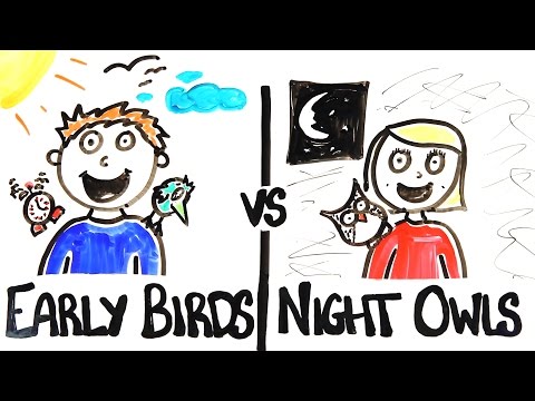 10 Flexible Job Suggestions for Night Owls and Early Wild birds