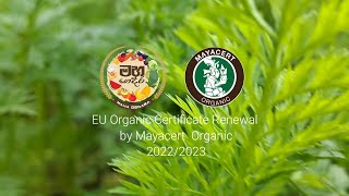 Our Anual EU Organic Renewal Audit - Mayacert Organic