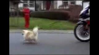 Download lagu Komersial - Suzuki GSX-R 1000