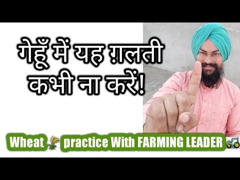 Gehu ki kheti में पहली सिंचाई कब ? |Best time for water irrigation wheat farming|गेहूँ की खेती