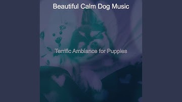 Pulsating Calming Dogs