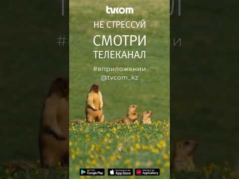 'Живая природа' на tvcom