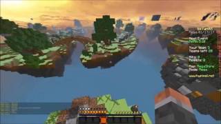 EPIC LAST ROUND!!! / Mega Skywars#1