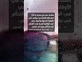 اقتباس اليوم من غيوم ميسو   دندنها