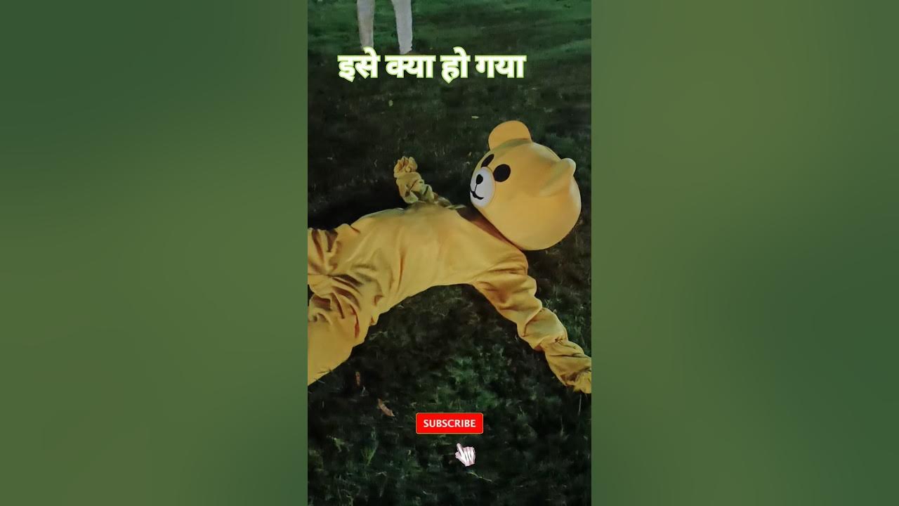 teddy comedy comedy teddybear comedyentertainment teddybear comedy