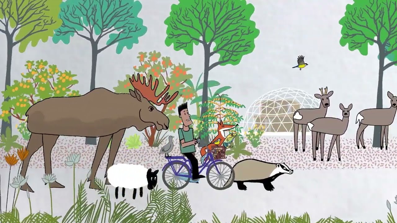 New Story of the Earth