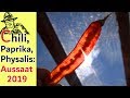 Tipps zur Anzucht von Chili, Paprika und Physalis - Aussaat 2019