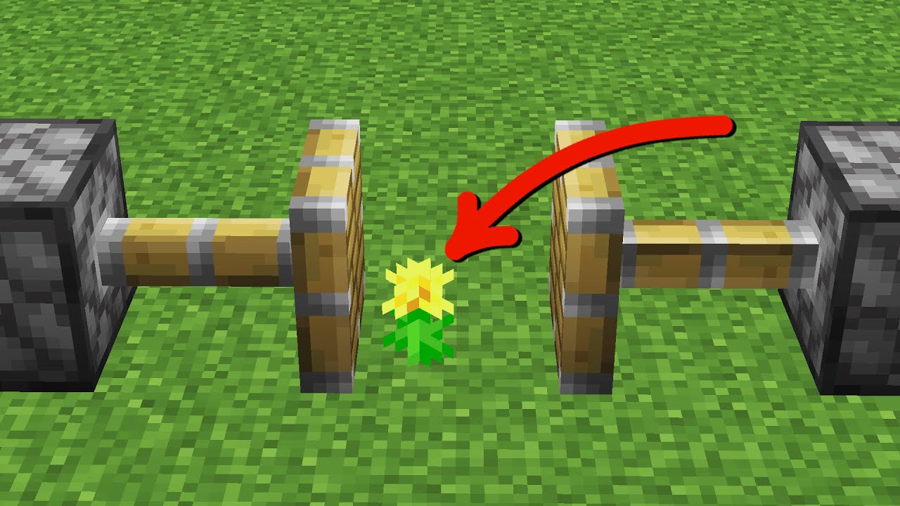 piston flower YouTube