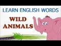 Wild Animals | Pre School | Learn English Words (Spelling) Video For Kids and Toddlers