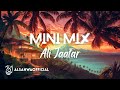 Mini Mix Ali Jaafar Alsahwa Official Official Audio