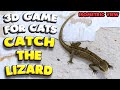 3d game for cats  catch the lizard isometric view  4k 60 fps stereo sound
