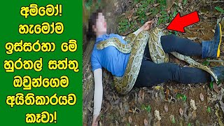 හමම ඉසසරහ තමනග අයතකරයවම කප හරතල සතත 5ක මනන Unbelievable Pets That Ate Their Owners