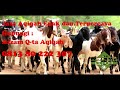 Video untuk jasa kambing guling di Sudimara Jaya