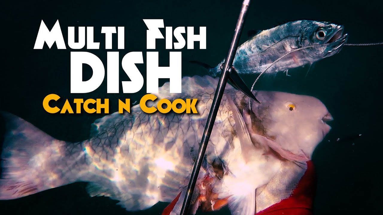 Parrotfish, Leatherback, Orange-Spine Unicornfish - SpearFishing Hawaii - CATCH and COOK -