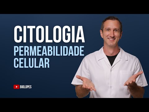 Vídeo: O que é permeabilidade seletiva e por que é importante para as células?