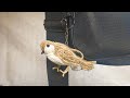 Брелок подвеска: Птичка из джута DIY. Сделайте такую классную птичку сами. Это легко!