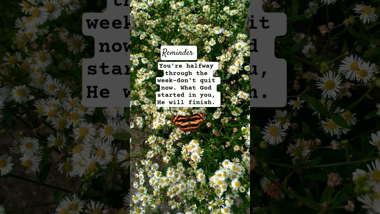 Midweek Faith Boost🙌| Philippians 1:6 