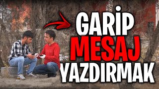 KEKOLARA GARİP MESAJ YAZDIRMA ŞAKASI!