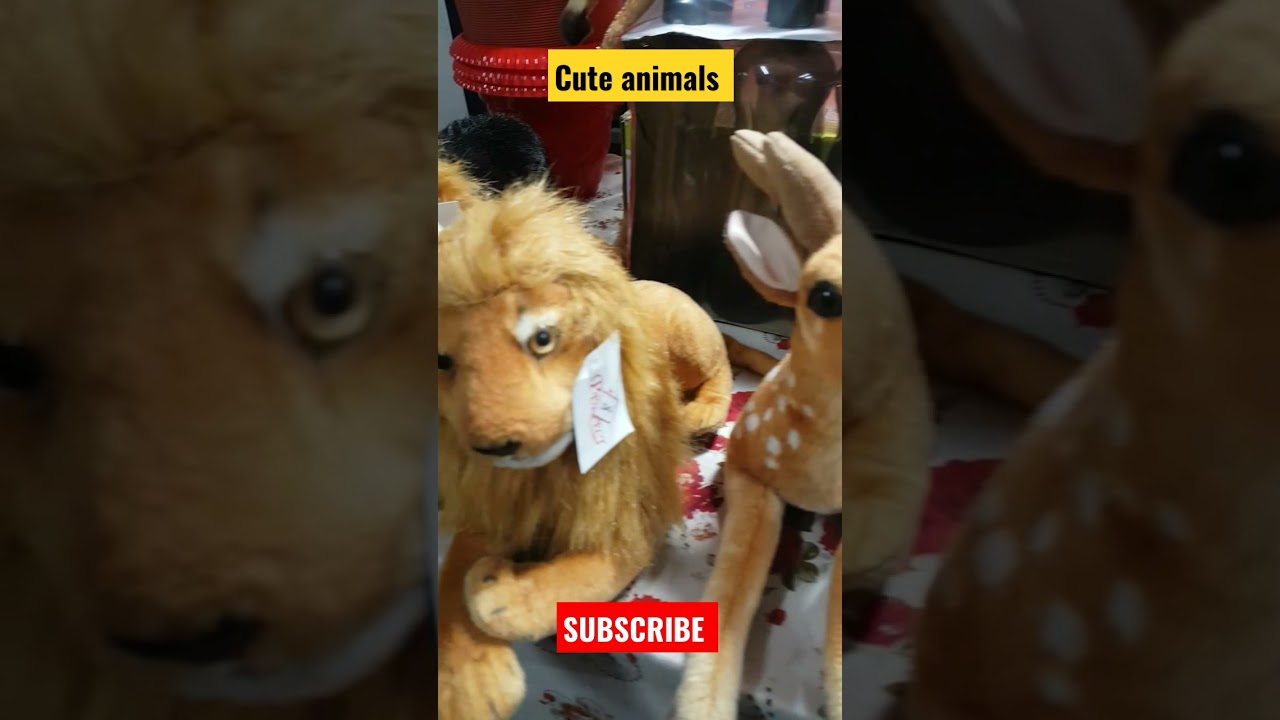 Cute animals kids video 