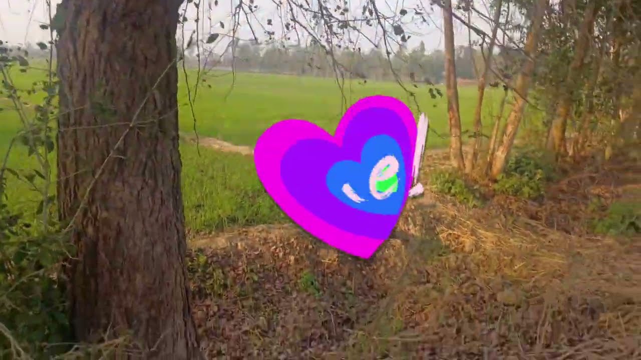 Shallow Tubewell Boring, उथले नलकूप बोरिंग से सिंचाई कार्य