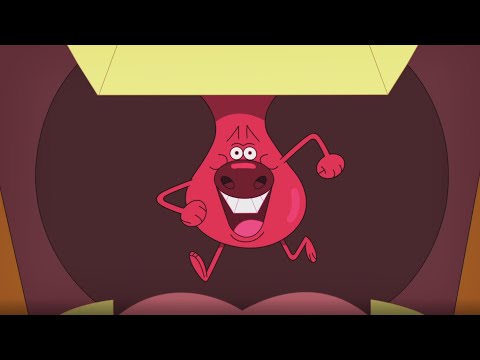 Zig And Sharko Zig's Mouth New Episodes | Cartoon For Kids