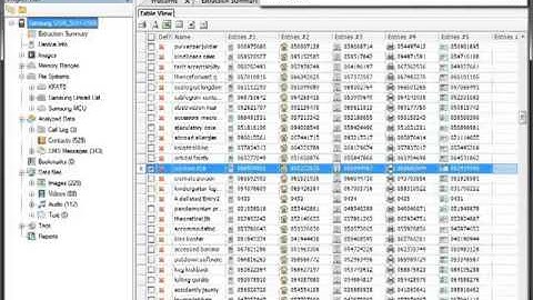 Cellebrite UFED Physical Analyzer - Instant Search (High)