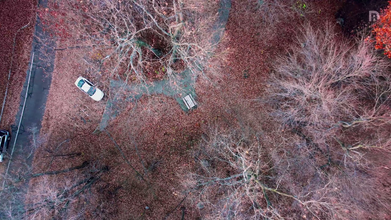 WINTER IS COMING (after fall) CANADA