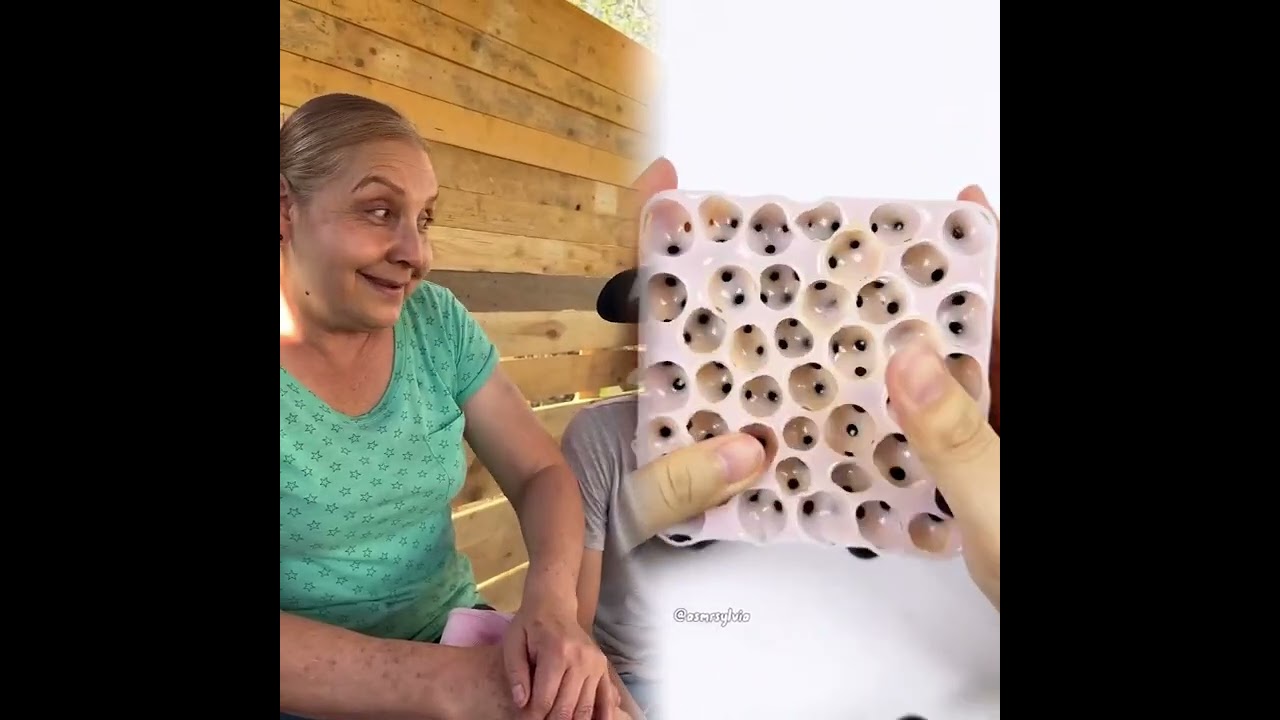 🤣👌👌👌2026 pov Must-Watch Crazy Clips Compilation 