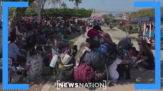 Former border chief says US needs to change border policies | NewsNation Live