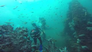 20140802真鶴トライアングル2/3