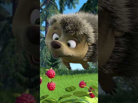 <strong>고슴도치는</strong> 누구로부터 도망치고 있나요?  👶 #shorts #마샤와곰 #mashaandthebear #우리 귀염둥이 #kids #cartoon #kidscartoonsongs
