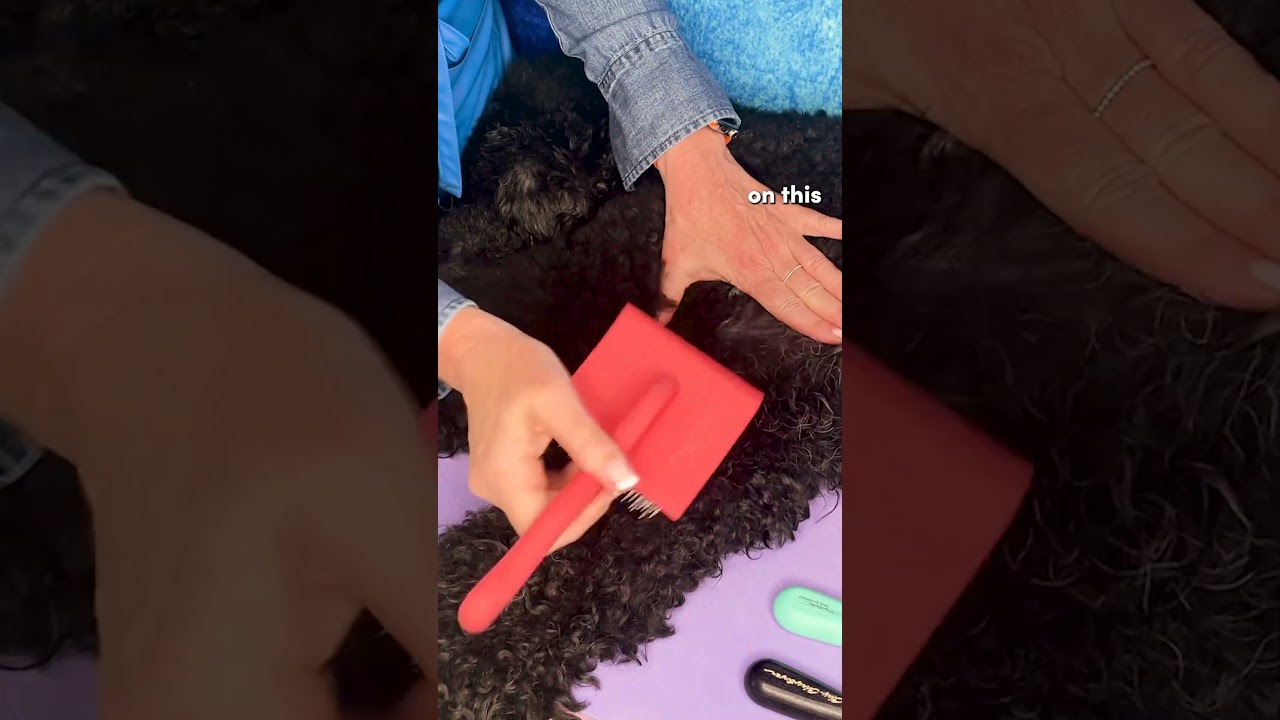 Как распутать шерсть собаки за 5 шагов: Шаг 4. Пуходерка 