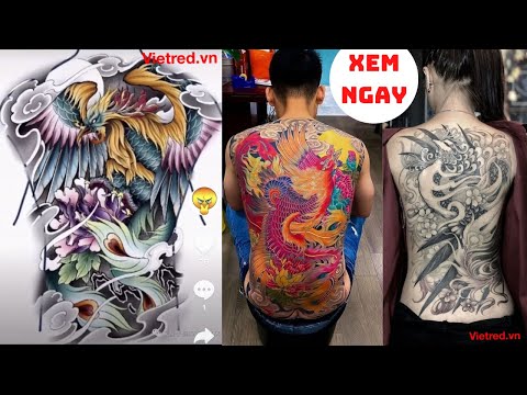 Video Hình xăm phượng hoàng kín full lưng đẹp nhất không thể... - youtube