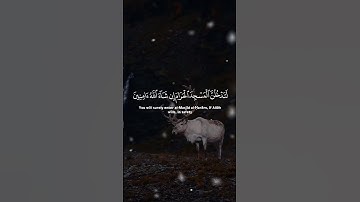 #المصحف#اكسبلور#quran#اجر_لي_ولك#القرآن #راحة_نفسية#تلاوة_خاشعة#الله#القرآن_الكريم#اكتب_شي_تؤجر_عليه