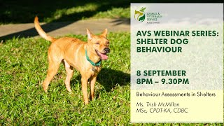 AVS Free Webinar Series | Shelter Dog Behaviour