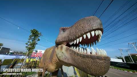 SPEEDYBEE MARIO MINI25 : Slow flight training.