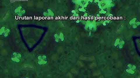 Kerja Ilmiah seg3 Ayo Belajar Biologi | Video Learning Object