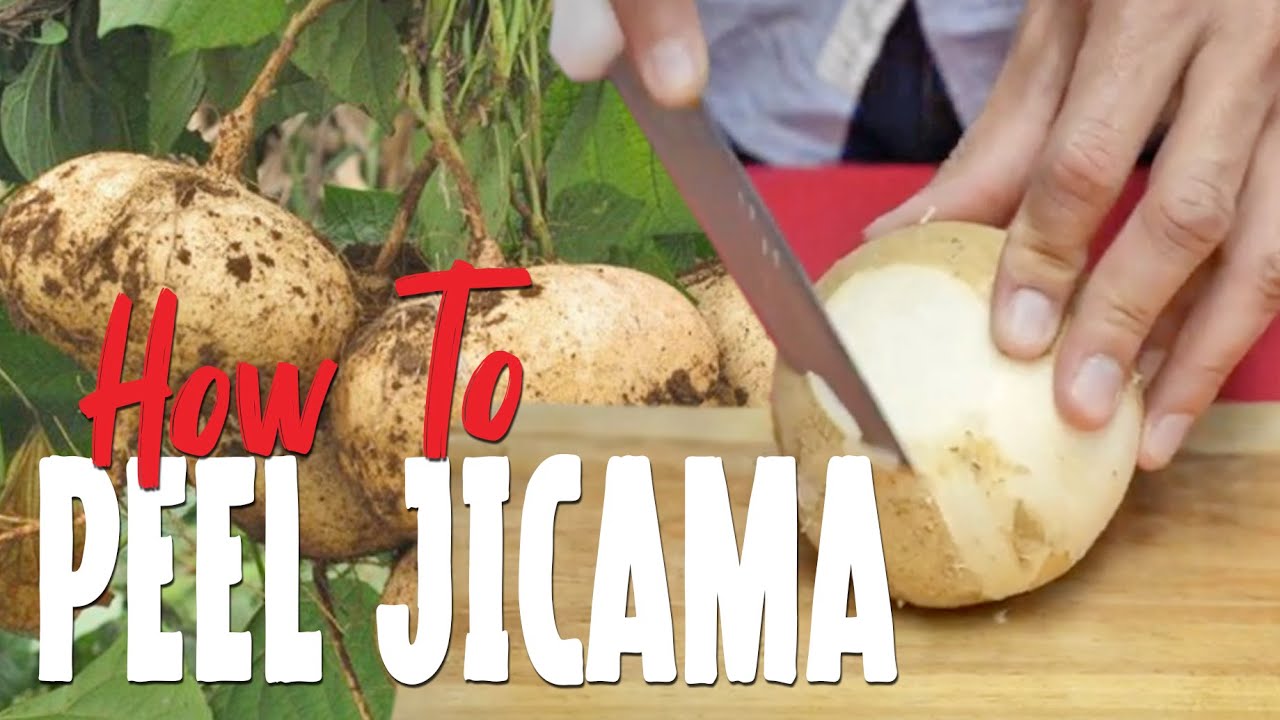 3 Ways to Peel Jicama advise 3 Ways to Peel Jicama forecast