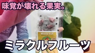 【危険】味覚が壊れるフルーツVS世界一スッパイ梅