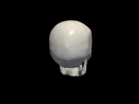 Череп крутится - YouTube