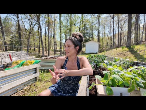 Garden Haul 🌼🌷🪴| 2025