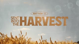 Sent Into the Harvest | Soft Heart + Tough Skin pt. 2 | Pastor Stephen Luna screenshot 2