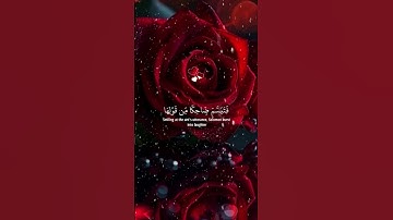 #قران_كريم #راحة_نفسية #foryou #تلاوة_خاشعة #اكسبلور