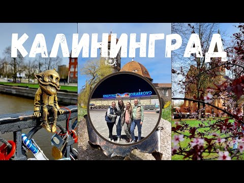 Калининград.Мамашки в бегах.Светлогорск,Зеленоградск.