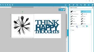 Using Filters in Mint Studio™