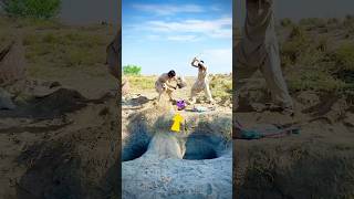 funny🤣🤣 wait for end#funny Net Worth