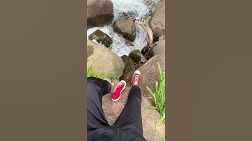 Lightroom Photo Editing 🖌️ 📸 || Dark Mode Photo Editing 🤞 || Photo Editing 2021 #mzeditingzone