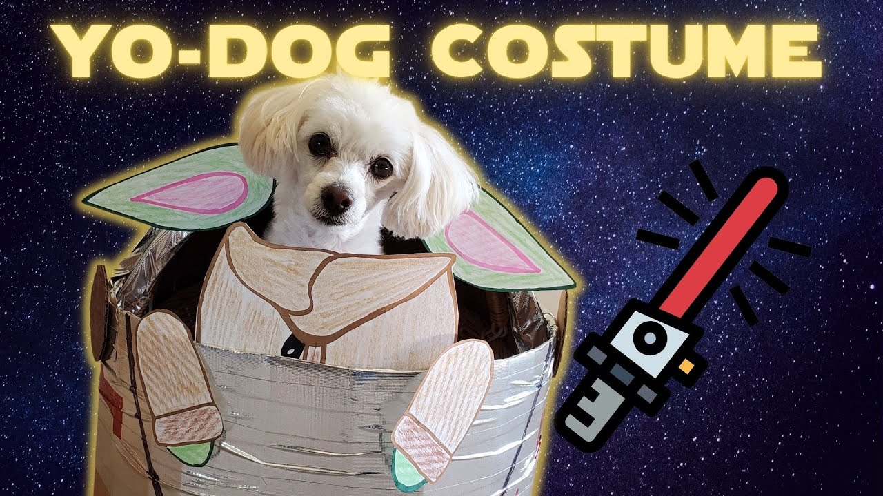 Baby Yoda Costume Cradle For Your Dog Youtube Baby Yoda Costume Cradle For Your Dog Youtube