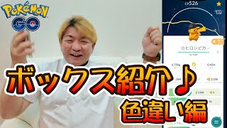 ポケモンgo  20ボックス ポケモンカードゲーム ソード＆シールド 強化拡張パック