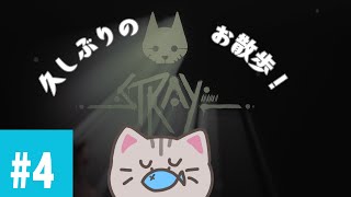 【#stray 】#4 何かを見つけたい！【#曇月りつ ／#初見大歓迎  】